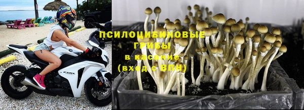 кокаин перу Горняк