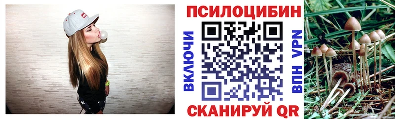 Купить где  Кола  Псилоцибиновые грибы Magic Shrooms 